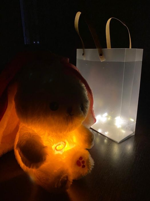 Набор для девушек: плюшевые игрушки + LEGO + гирлянд пакете