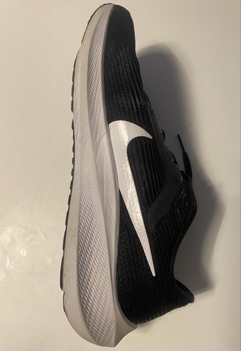 Adidasi nike pegasus