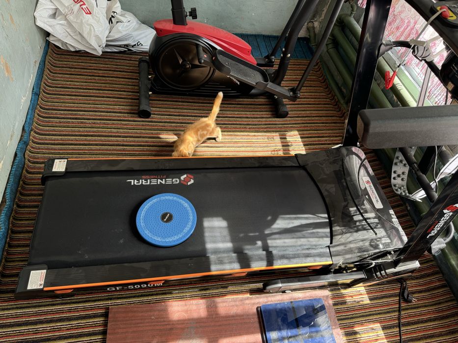 begavoy darojka blan begavoy velik sotiladi srohcna