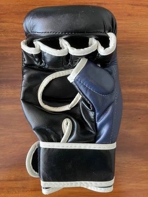 Fairtex fgv18 перчатки