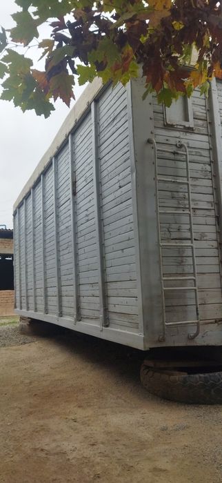 Bo'rt, Kuzov holati yaxshi