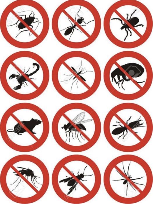 Скидки 20% Дезинфекция дизенфекция Дизинфекция дезенфекция Dezinfeksiy