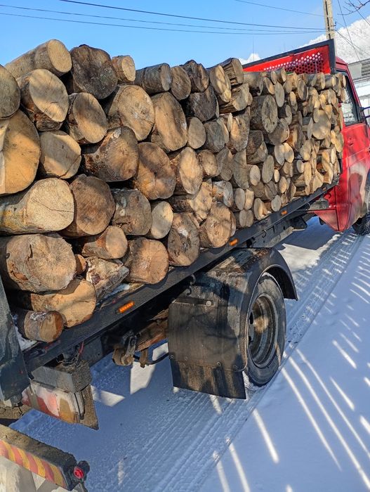 LEMNE DE FAG. Cumpără acum