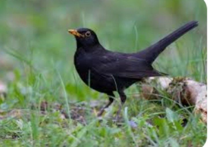 Орыс порно егде жастағы адамдармен