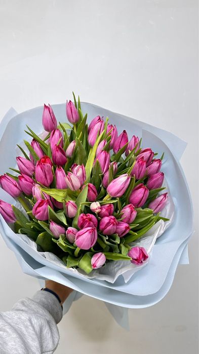 Тюльпаны оптом от 1000шт