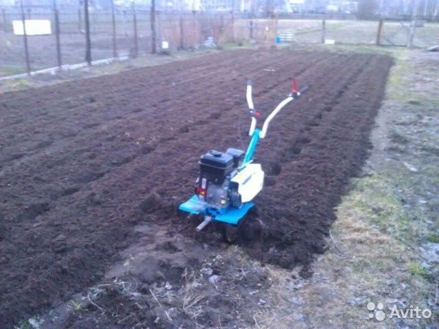 Вспышка огородов