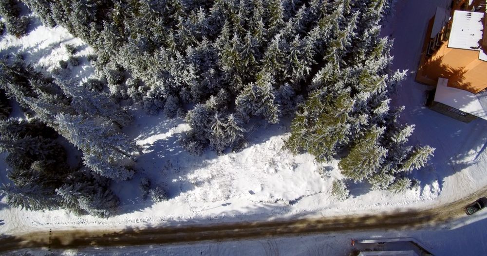 Продава се Парцел в к.к. Пампорово - 3800 кв.м за 60 €/кв.м - Снимка #2