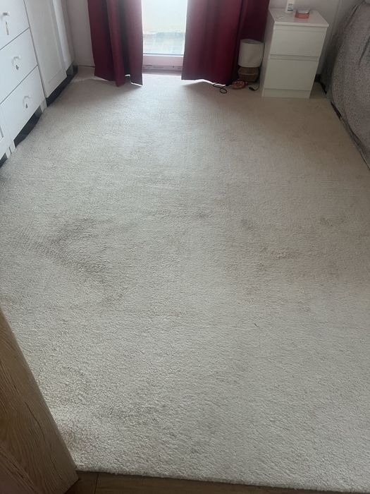 Vand covor 2 m /3 m