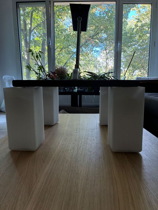 Полилей Sirius Marta Cube 04