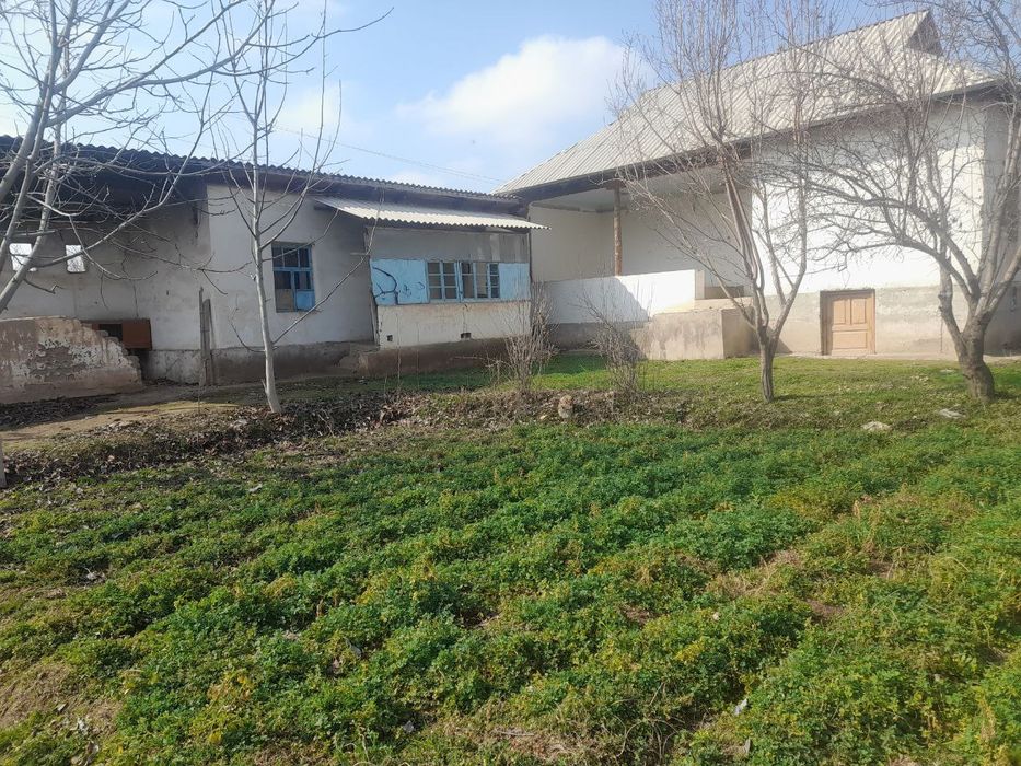 10 sotix hovli uylari bilan