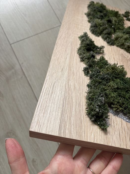 Tablou cu licheni naturali pe placa de pal