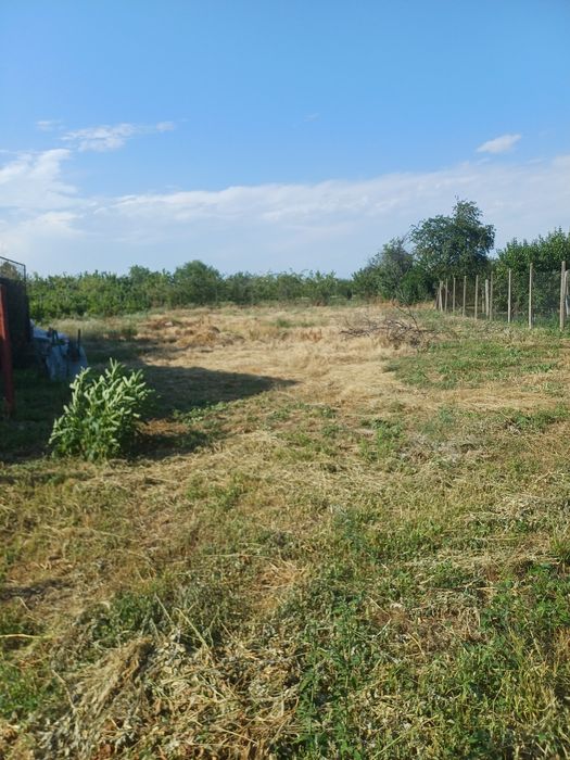 Vând teren intravilan 1000m