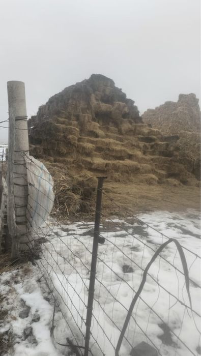 Фазенда на аренду и продажу