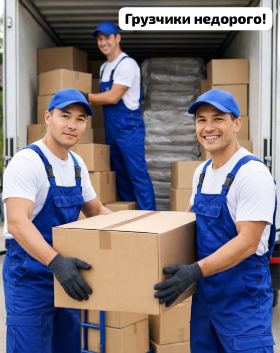 ГРУЗЧИКИ НЕДОРОГО,  вывез мусора фуры , Переезды,
