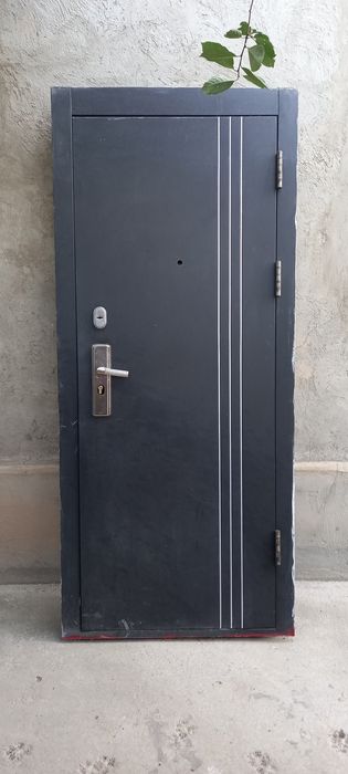 Дверь железный для дома и квартира