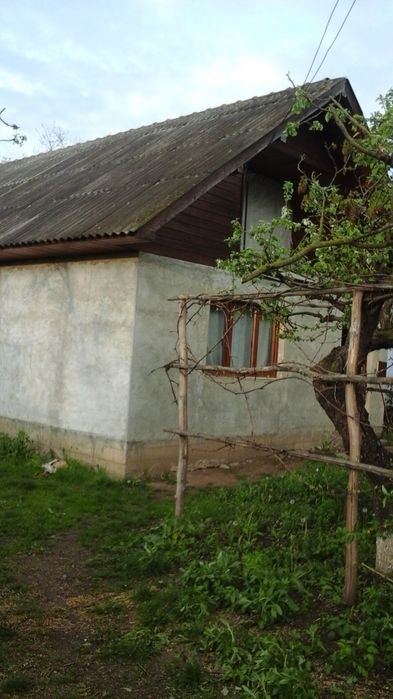 Vand casa la tara