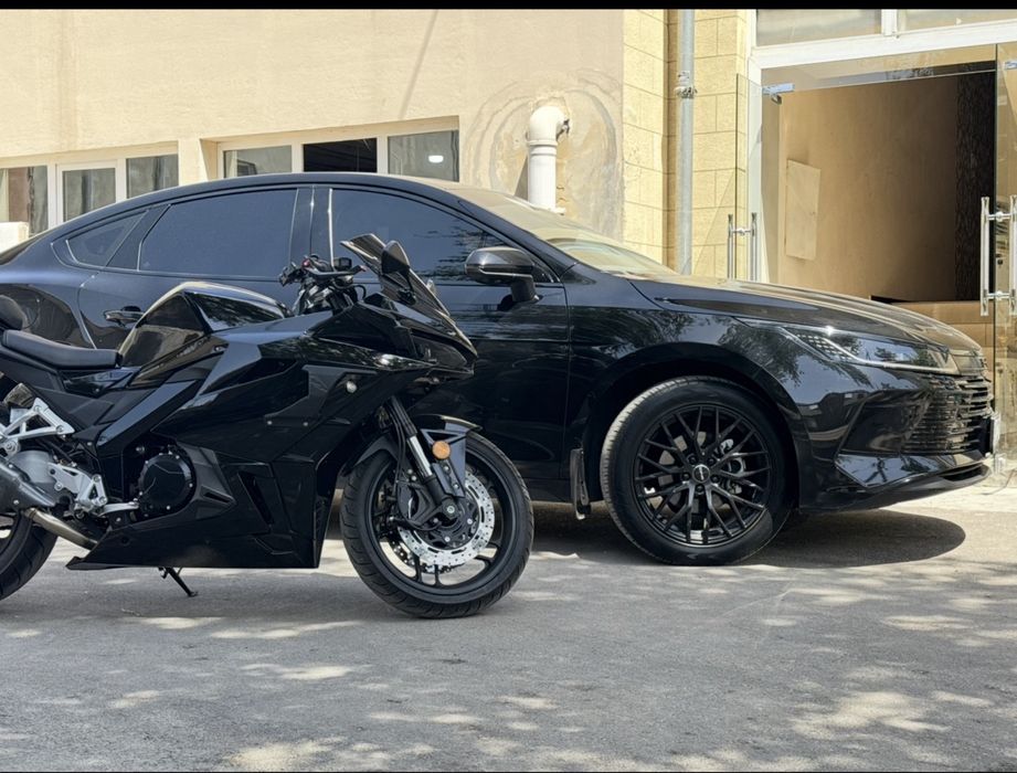 Byd chazor 120 tali