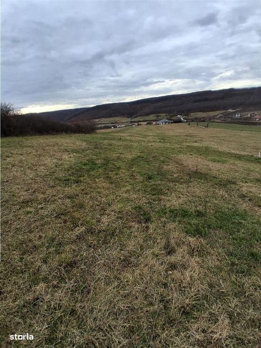 RECO Teren intravilan 5487 mp cu dublu front stradal-zona Betfia