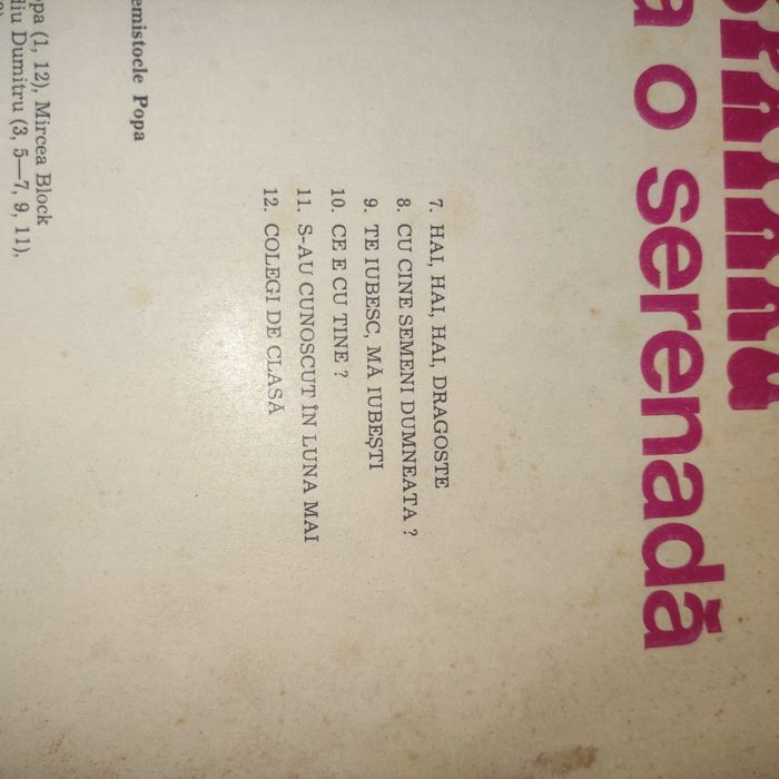 Vinil Dan Spătaru