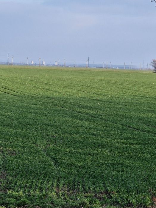 Teren sos Slobozie 1.75ha