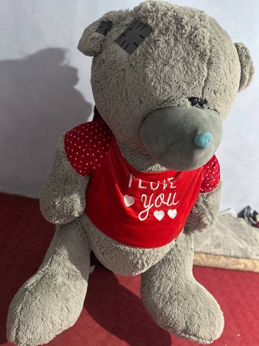 Teddy ayiq [eng kottasi]