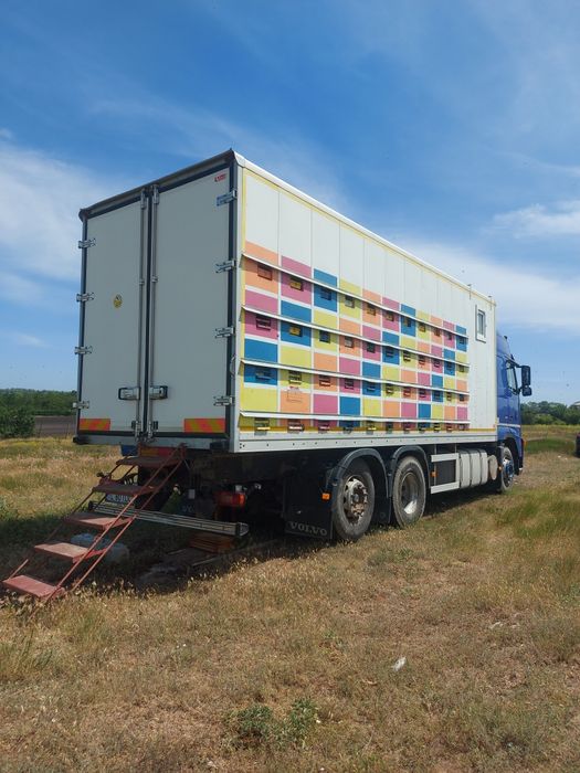 Camion apicol Volvo FH12