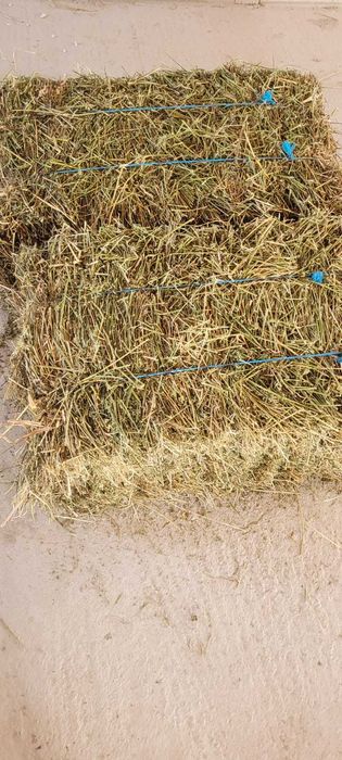 Vand Baloti de lucerna