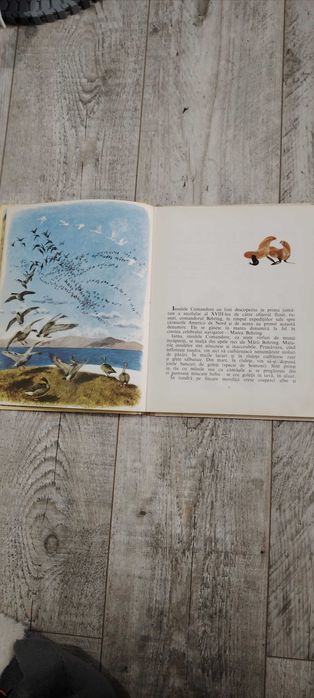 Prin ținuturi îndepărtate de Ghenadi Sneghiriov