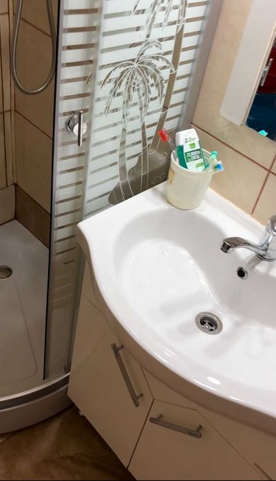 Apartament de vanzare copsa mica