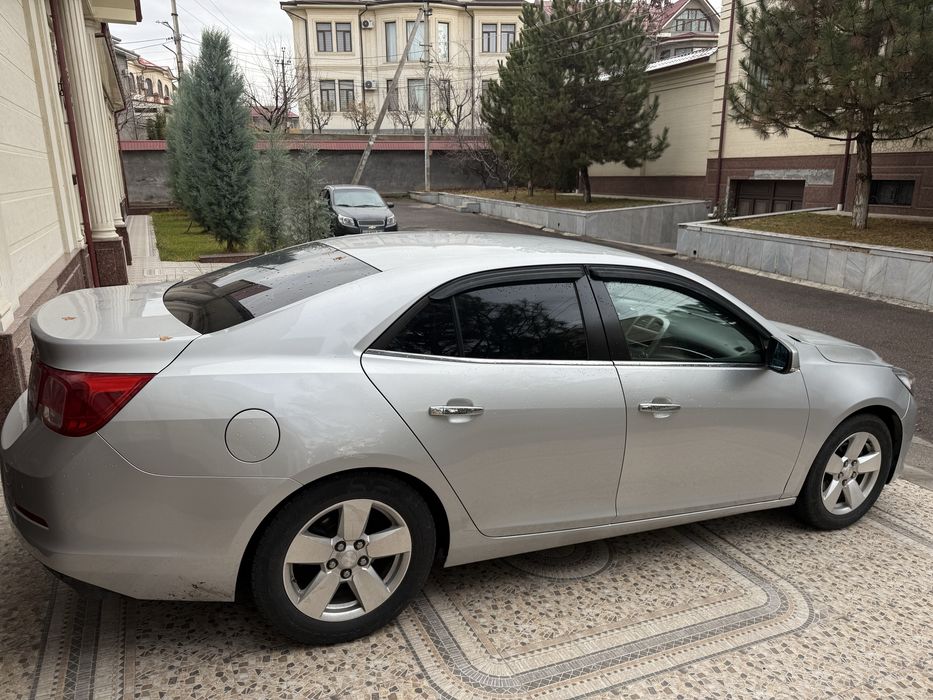 Malibu 1-poz 2013