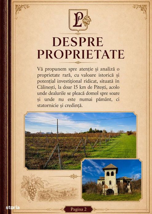 Teren de 53.000 mp cu vita de vie + Conac boieresc