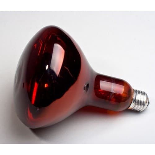 Лампа инфракрасная, красная для обогрева цыплят после вывода, Луппер