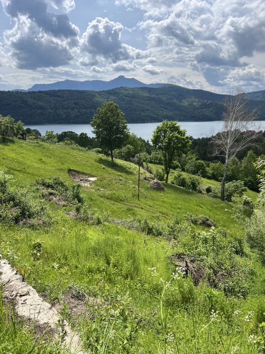 Cabana nordica in Buhalnita Hangu Lac Bicaz investitie