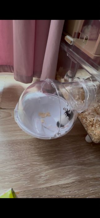 Клетка за гризачи , хамстери , мини мишки