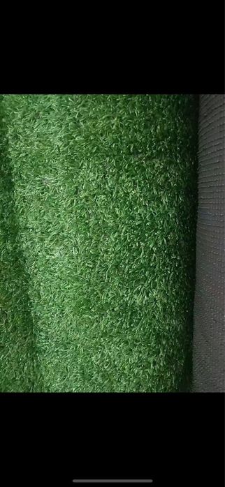 Газон м кв 800тг