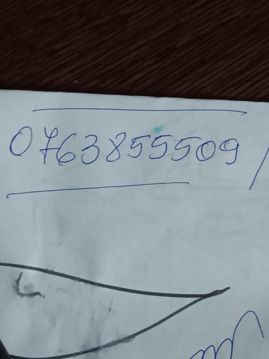 Vând berbec mior Nu răspund la mesaje