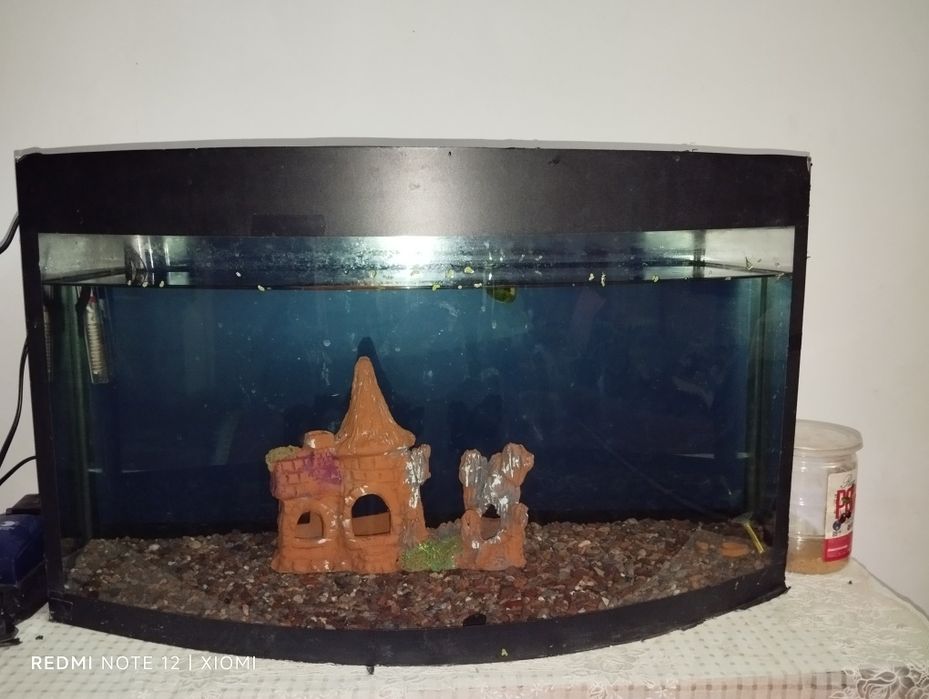 Akvariumlar sotiladi