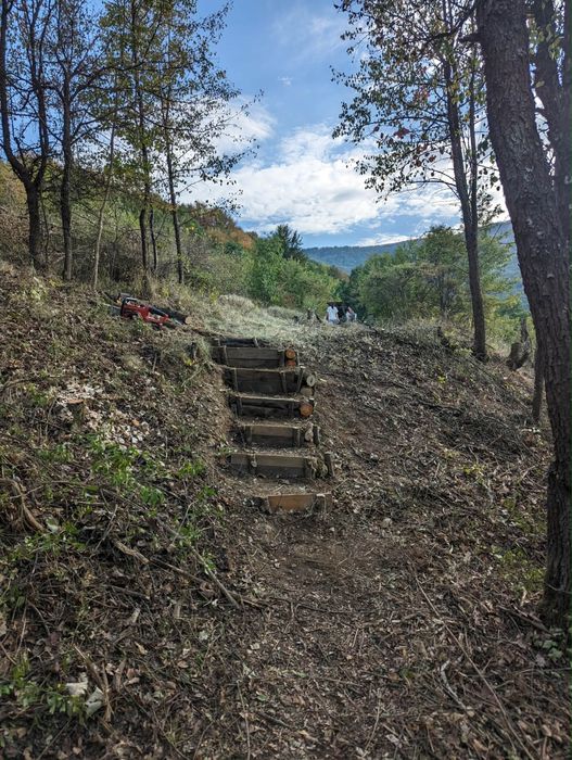 Поземлен имот с. Свидня