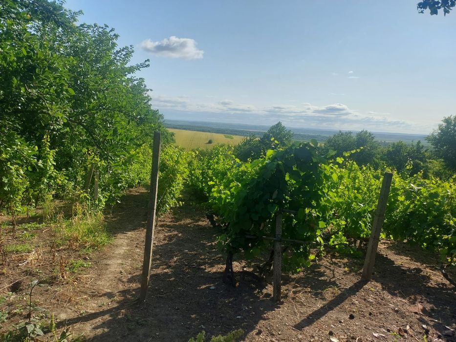 Casă de vânzare Ghermanesti