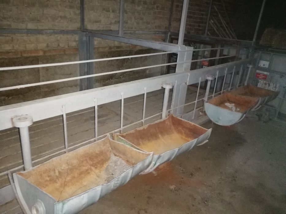 Qo'yxona, katak, sotiladi