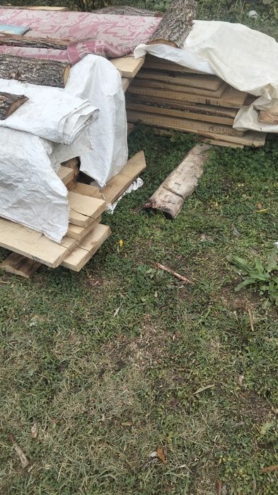Cherestea tivită stejar