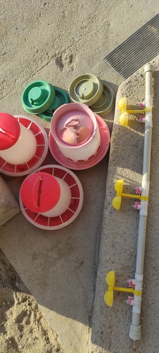 Поилки и кормушки.