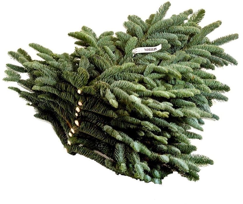Ветки нобилиса-датская пихта,доставка