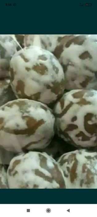 Praynik va boshqa koʻplab kanditer maxsulotlari urgataman