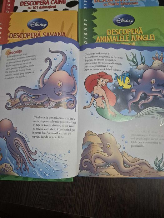 Cărți cu povești și imagini pentru copii