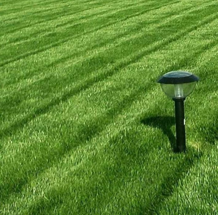 Поссев бренд газоны Готовые рулонные газоны Автопалив поливная система