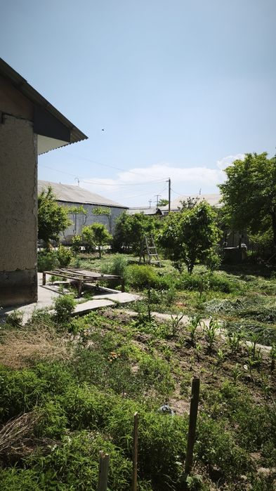 Ховли уй сотилади