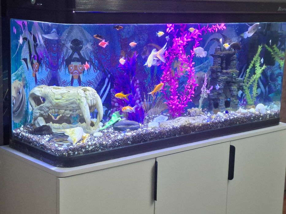 Завадской Аквариумы рыбками