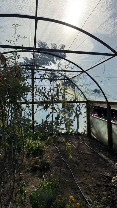 Solar pentru legume 6x4
