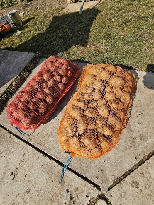 Cartofi consum alb carrera si rosu bellarosa +50 ambalat saci 25 kg